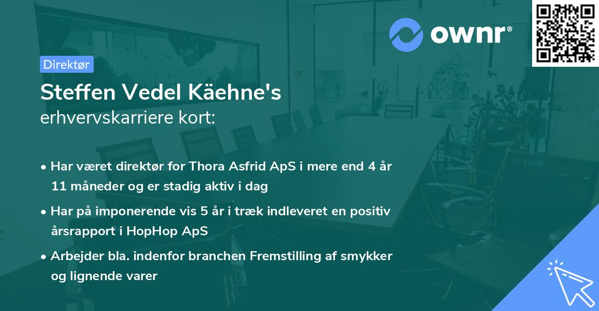 Steffen Vedel Käehne's erhvervskarriere kort