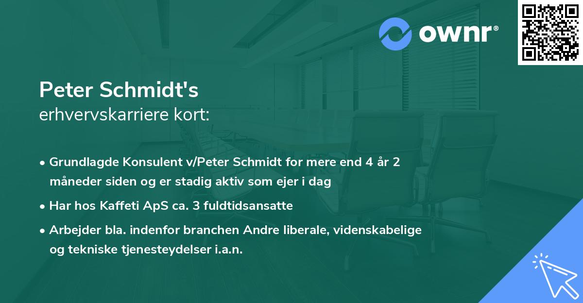 Peter Schmidt's erhvervskarriere kort