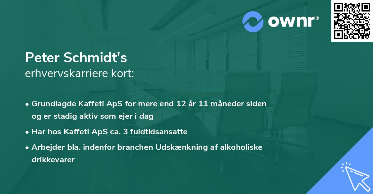 Peter Schmidt's erhvervskarriere kort