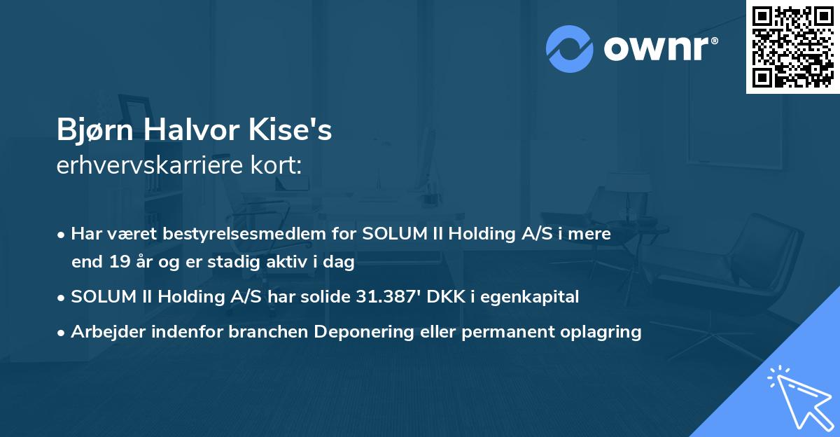 Bjørn Halvor Kise's erhvervskarriere kort