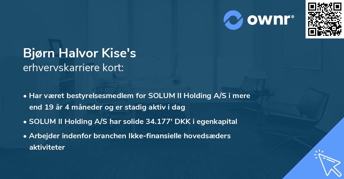 Bjørn Halvor Kise's erhvervskarriere kort