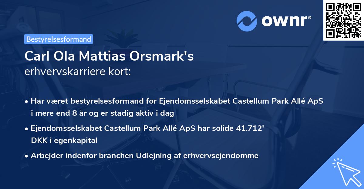 Carl Ola Mattias Orsmark's erhvervskarriere kort