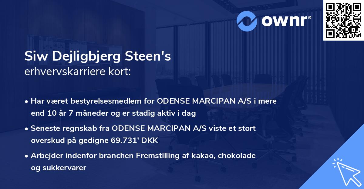 Siw Dejligbjerg Steen's erhvervskarriere kort