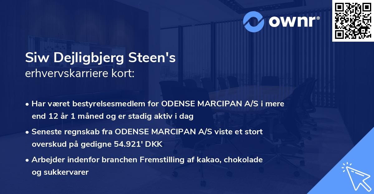 Siw Dejligbjerg Steen's erhvervskarriere kort