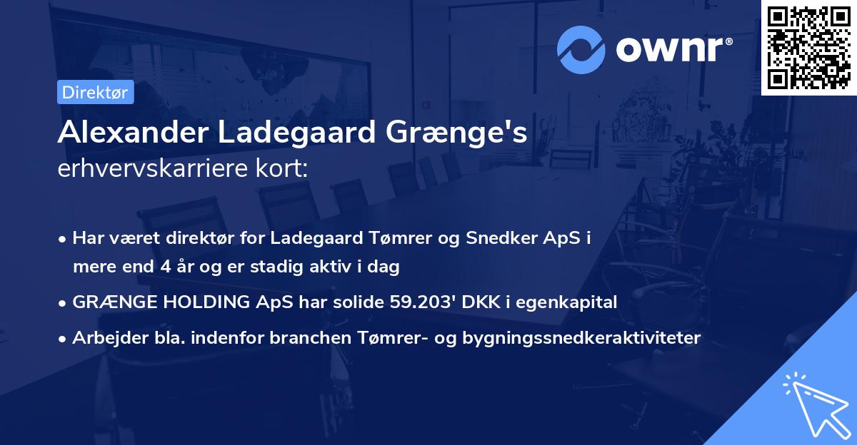 Alexander Ladegaard Grænge's erhvervskarriere kort