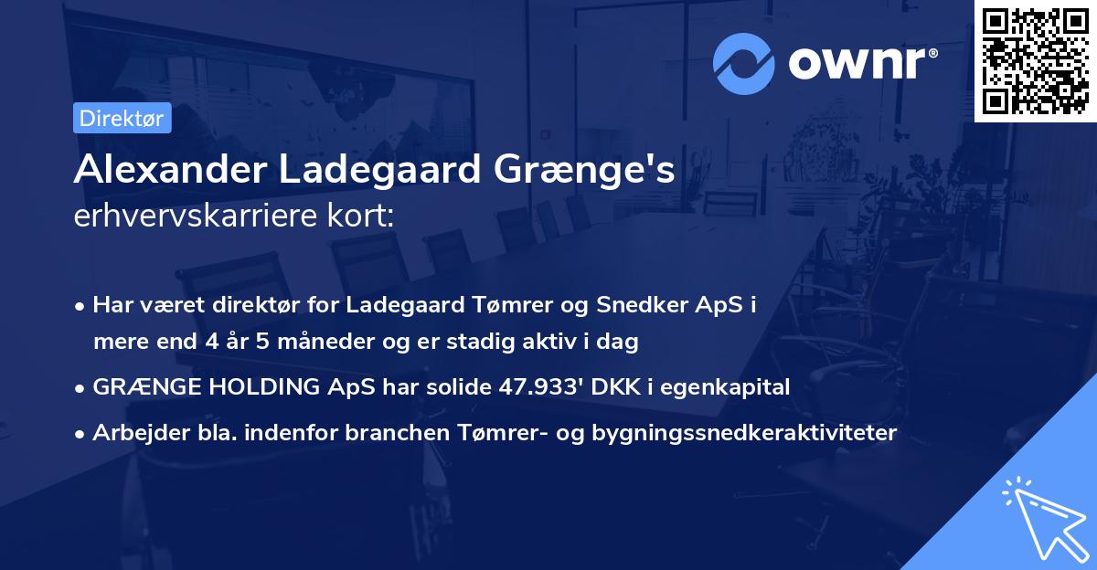 Alexander Ladegaard Grænge's erhvervskarriere kort