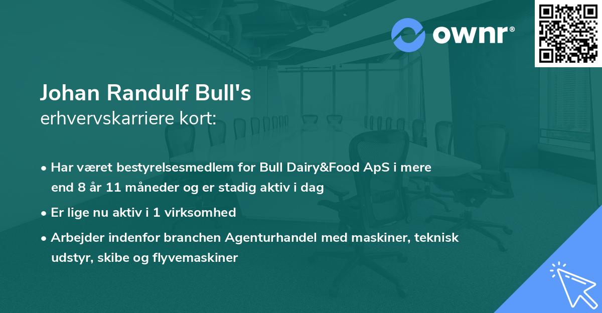 Johan Randulf Bull's erhvervskarriere kort