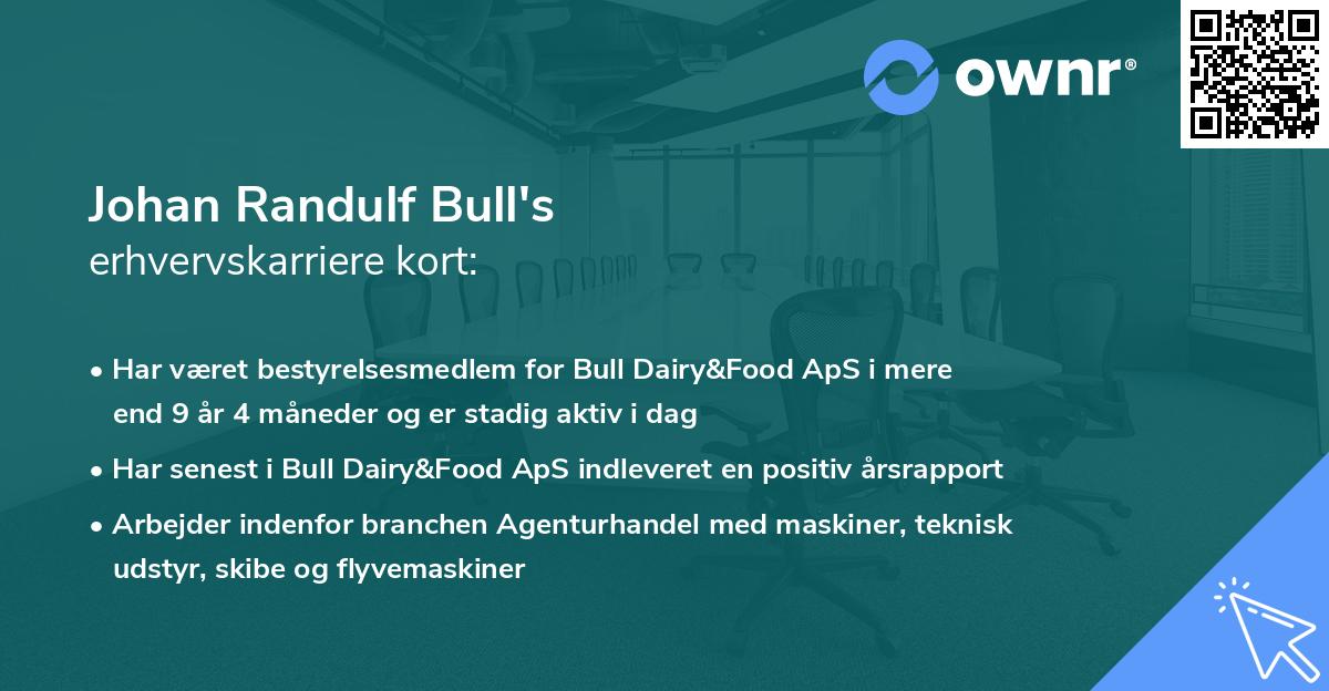 Johan Randulf Bull's erhvervskarriere kort