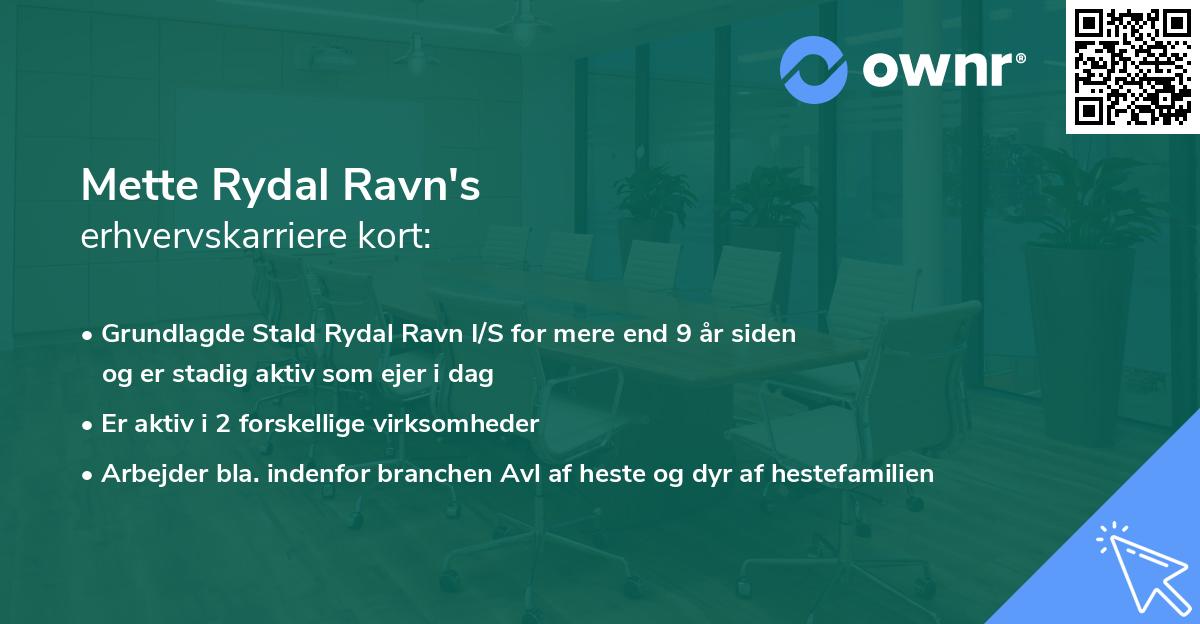 Mette Rydal Ravn's erhvervskarriere kort