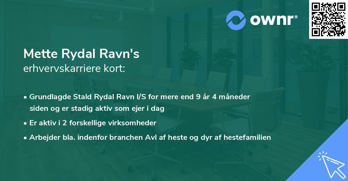 Mette Rydal Ravn's erhvervskarriere kort