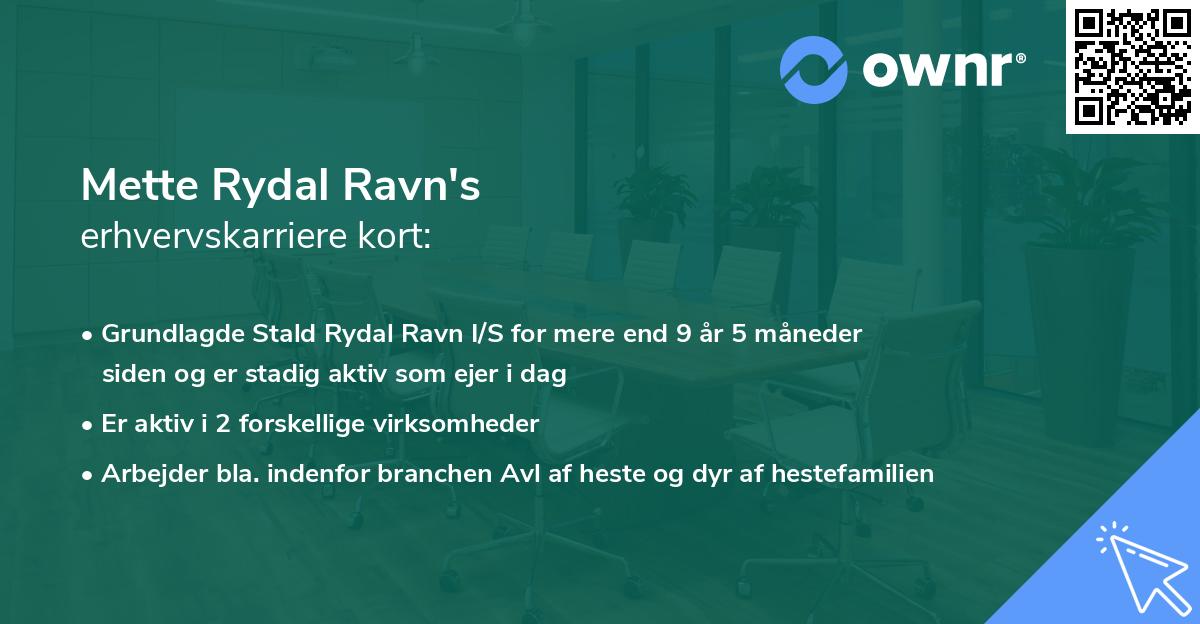 Mette Rydal Ravn's erhvervskarriere kort