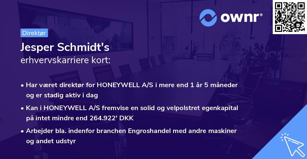 Jesper Schmidt's erhvervskarriere kort