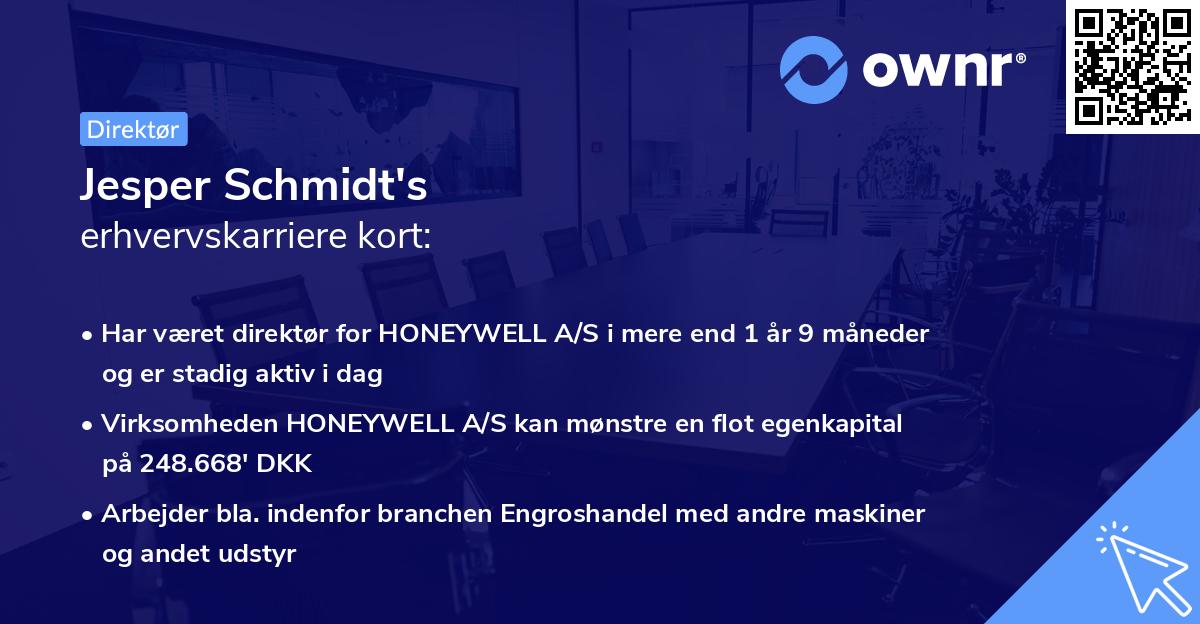 Jesper Schmidt's erhvervskarriere kort