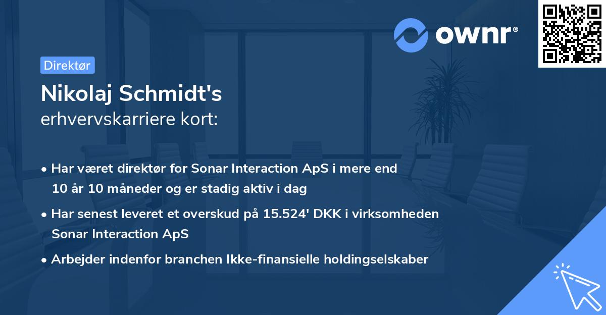 Nikolaj Schmidt's erhvervskarriere kort