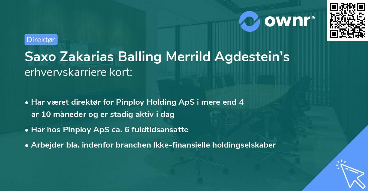 Saxo Zakarias Balling Merrild Agdestein's erhvervskarriere kort