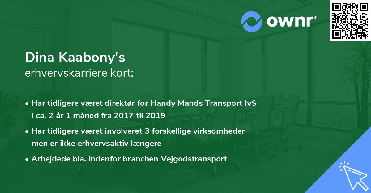 Dina Kaabony's erhvervskarriere kort