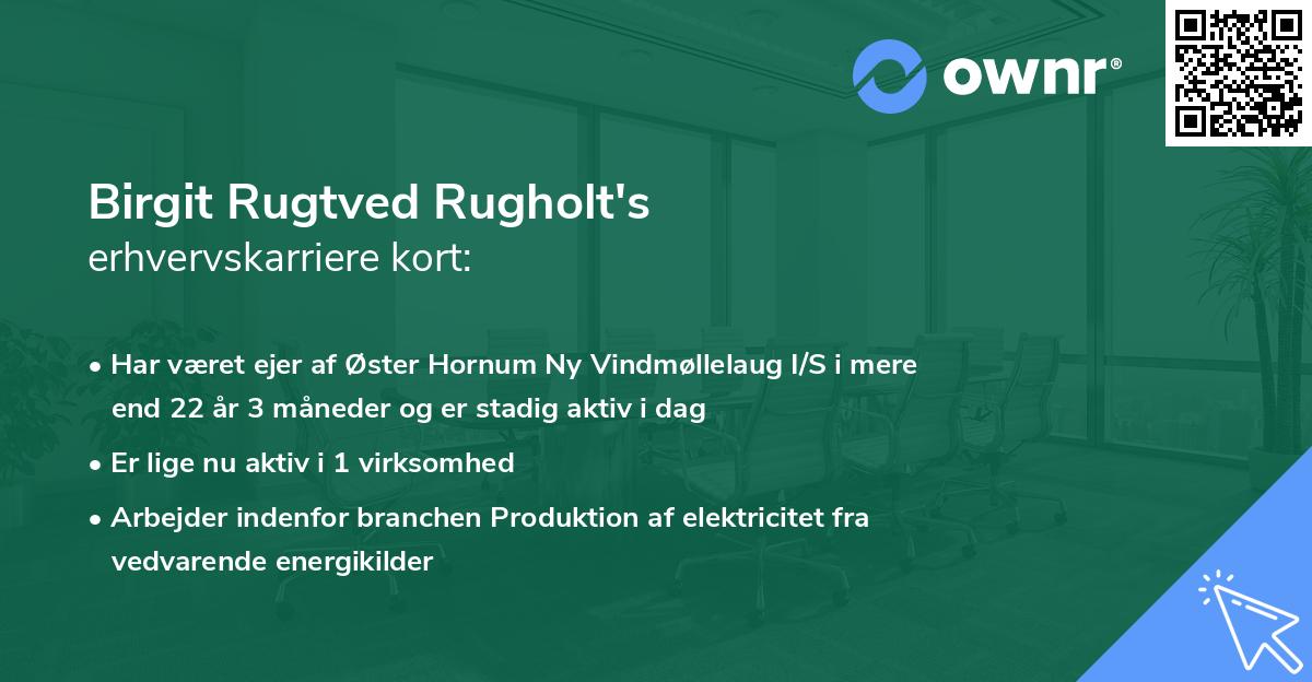 Birgit Rugtved Rugholt's erhvervskarriere kort