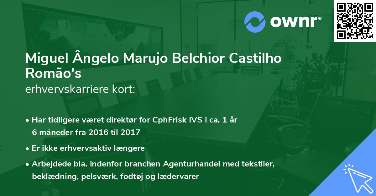 Miguel Ângelo Marujo Belchior Castilho Romão's erhvervskarriere kort