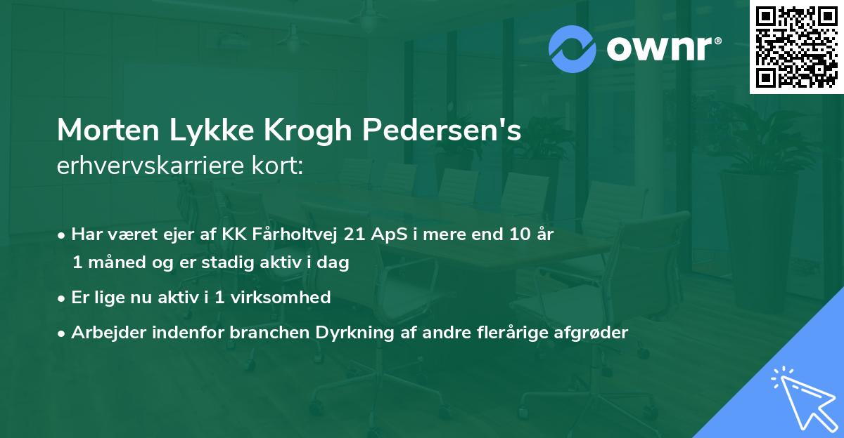 Morten Lykke Krogh Pedersen's erhvervskarriere kort