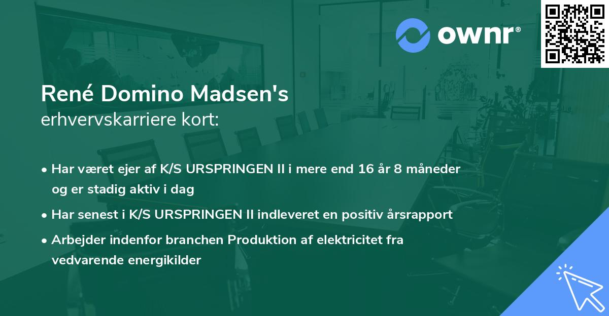 René Domino Madsen's erhvervskarriere kort