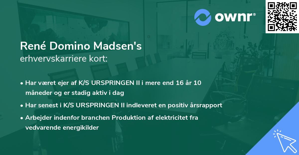 René Domino Madsen's erhvervskarriere kort