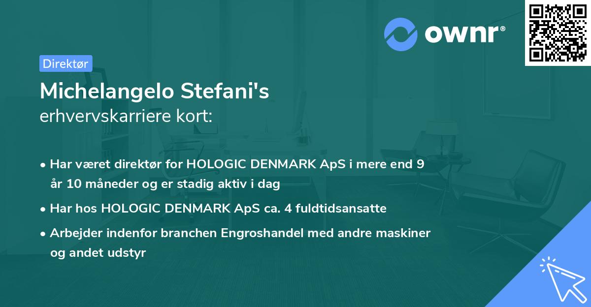 Michelangelo Stefani's erhvervskarriere kort