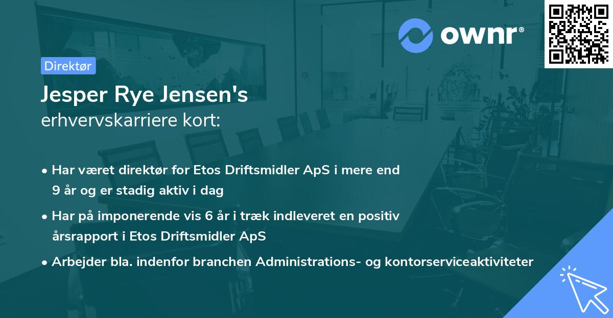 Jesper Rye Jensen's erhvervskarriere kort