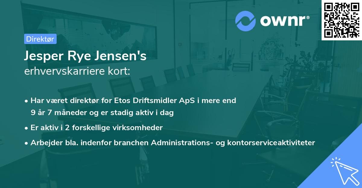 Jesper Rye Jensen's erhvervskarriere kort