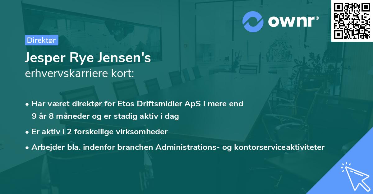 Jesper Rye Jensen's erhvervskarriere kort