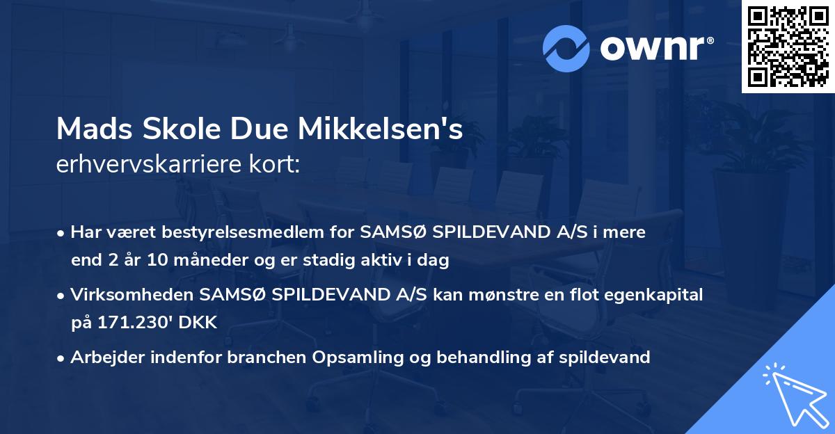 Mads Skole Due Mikkelsen's erhvervskarriere kort