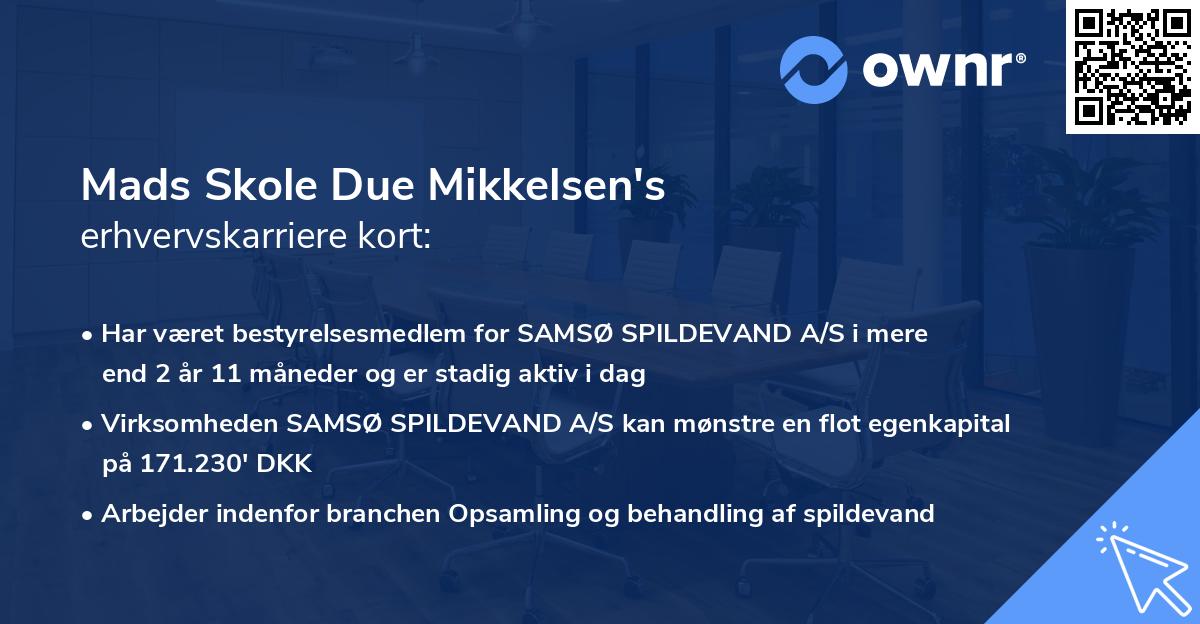Mads Skole Due Mikkelsen's erhvervskarriere kort