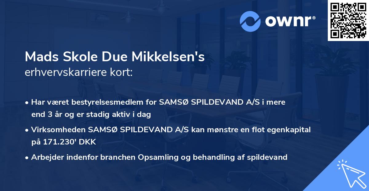 Mads Skole Due Mikkelsen's erhvervskarriere kort