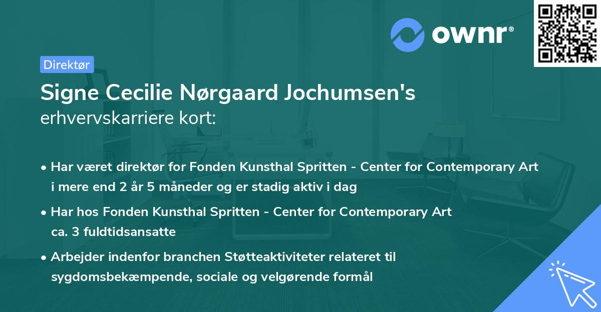 Signe Cecilie Nørgaard Jochumsen's erhvervskarriere kort