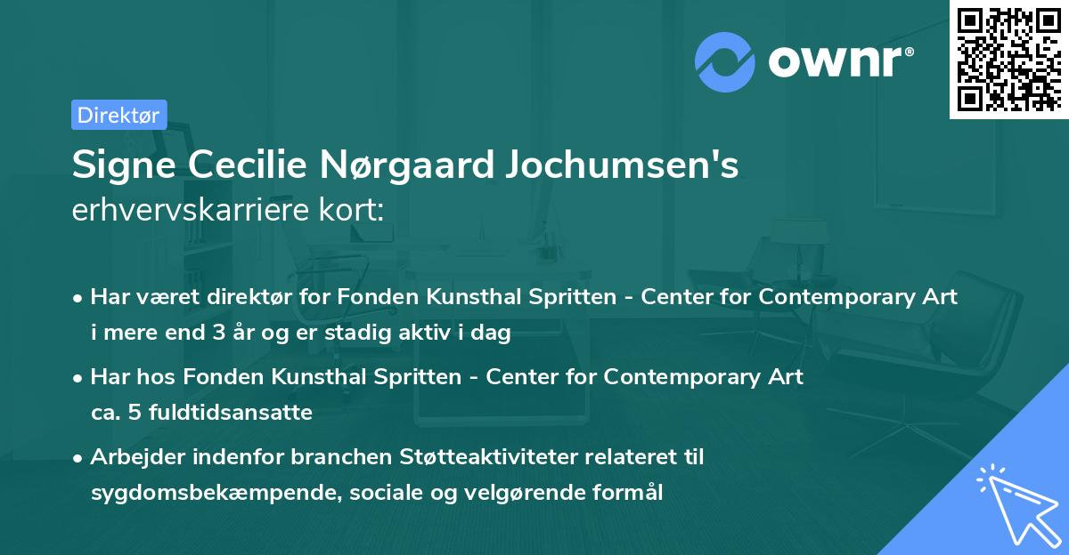 Signe Cecilie Nørgaard Jochumsen's erhvervskarriere kort