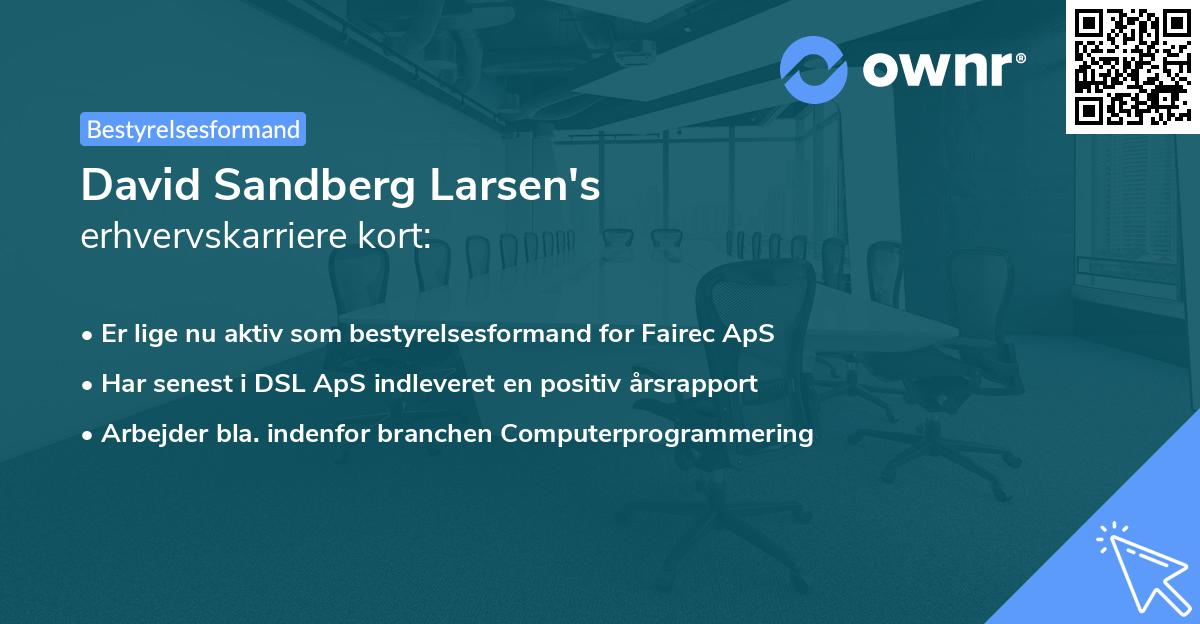 David Sandberg Larsen's erhvervskarriere kort
