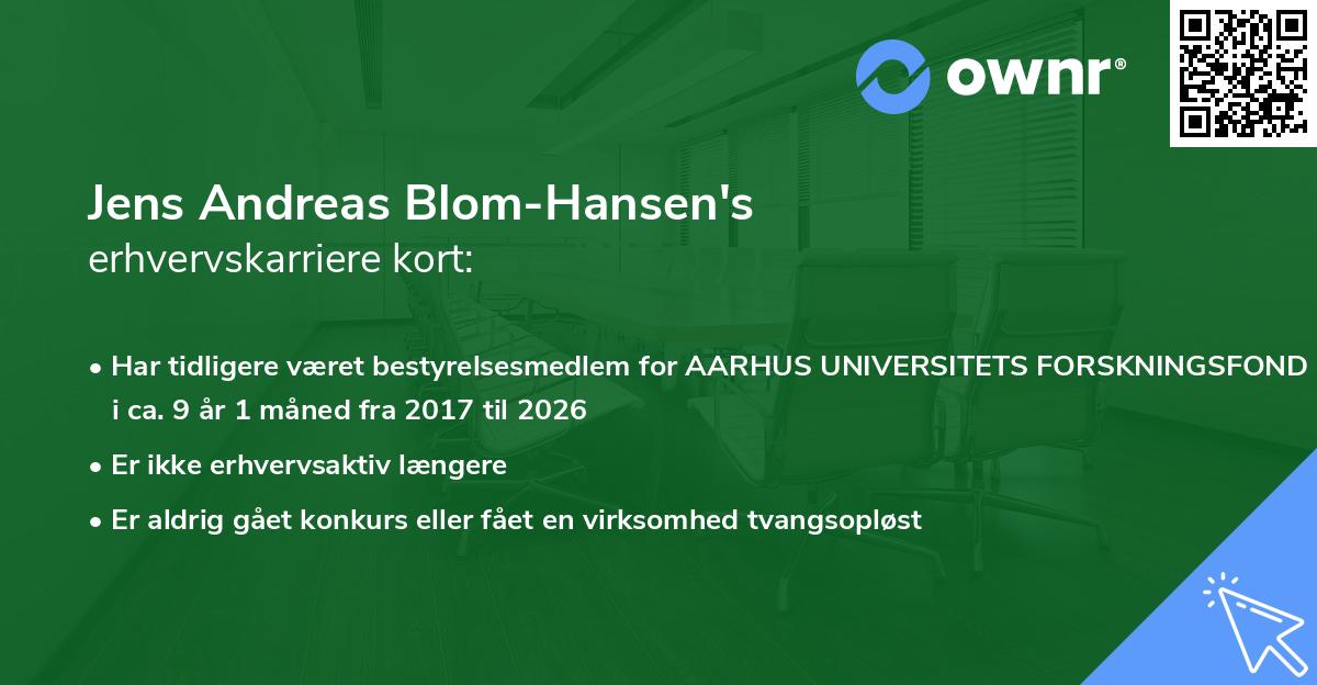 Jens Andreas Blom-Hansen's erhvervskarriere kort