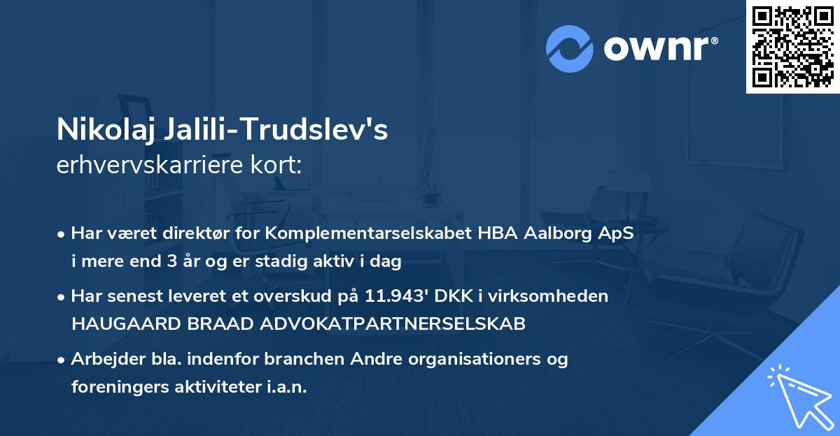 Nikolaj Jalili-Trudslev's erhvervskarriere kort