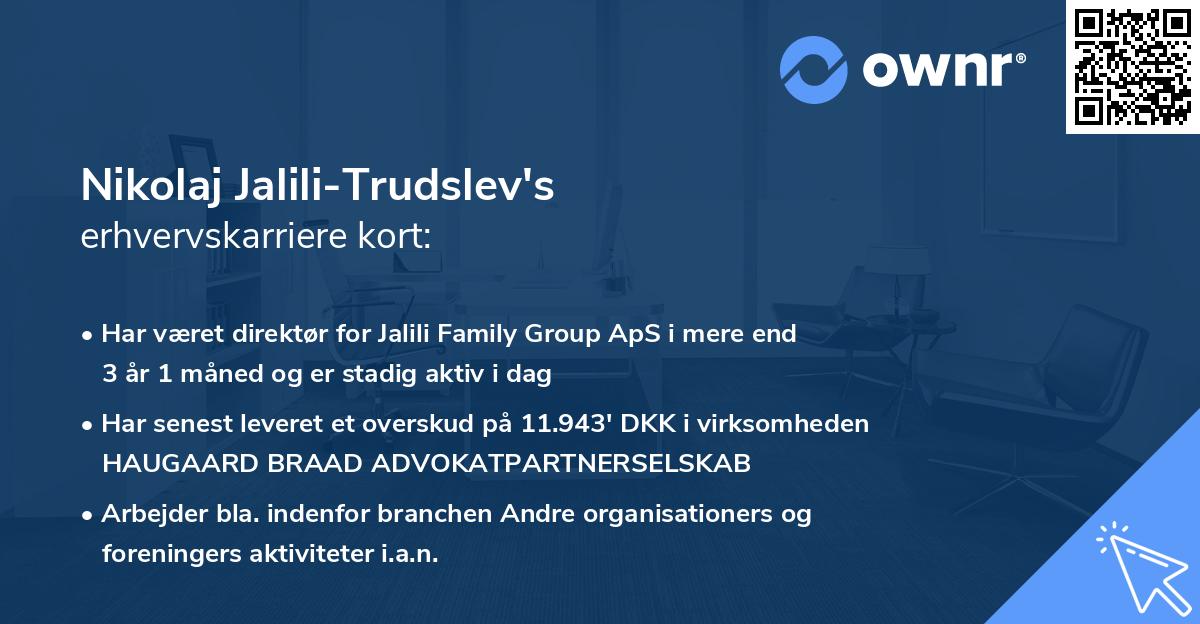 Nikolaj Jalili-Trudslev's erhvervskarriere kort