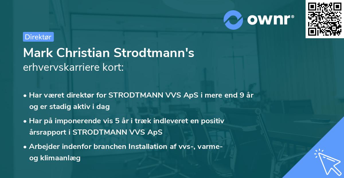 Mark Christian Strodtmann's erhvervskarriere kort