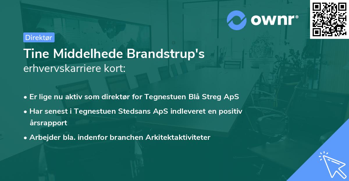 Tine Middelhede Brandstrup's erhvervskarriere kort