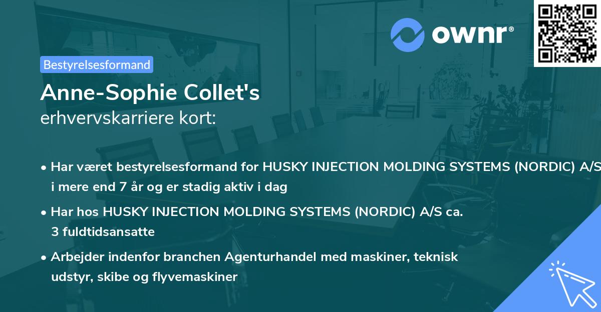 Anne-Sophie Collet's erhvervskarriere kort