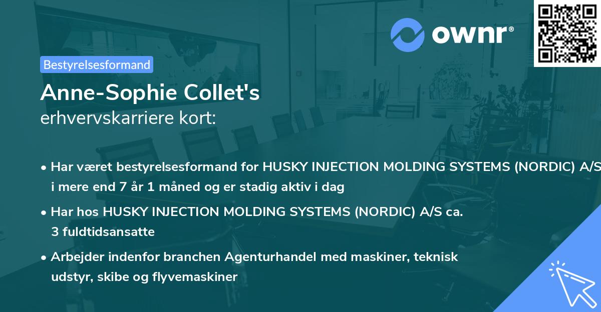 Anne-Sophie Collet's erhvervskarriere kort