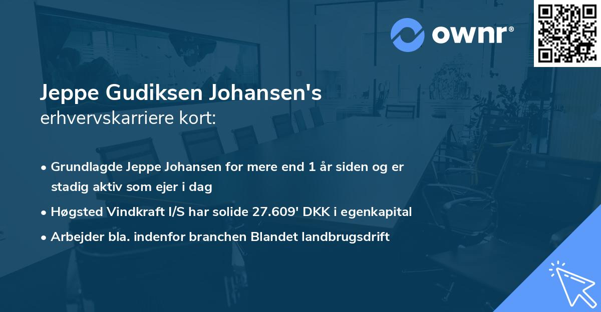 Jeppe Gudiksen Johansen's erhvervskarriere kort
