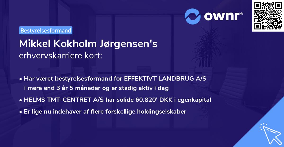 Mikkel Kokholm Jørgensen's erhvervskarriere kort