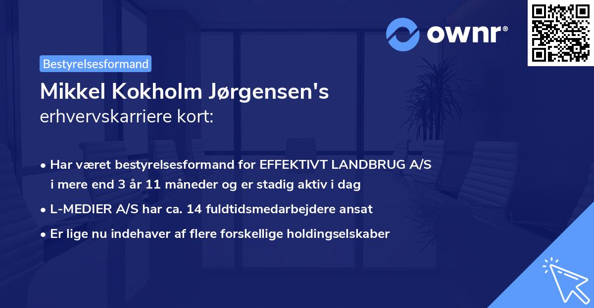 Mikkel Kokholm Jørgensen's erhvervskarriere kort