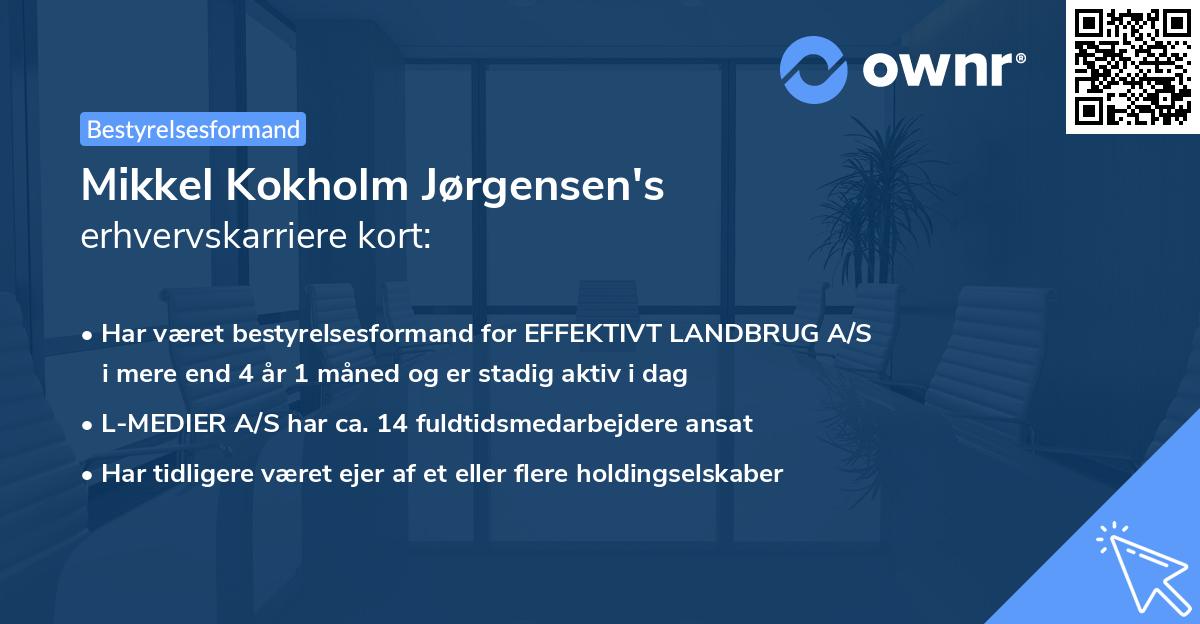 Mikkel Kokholm Jørgensen's erhvervskarriere kort