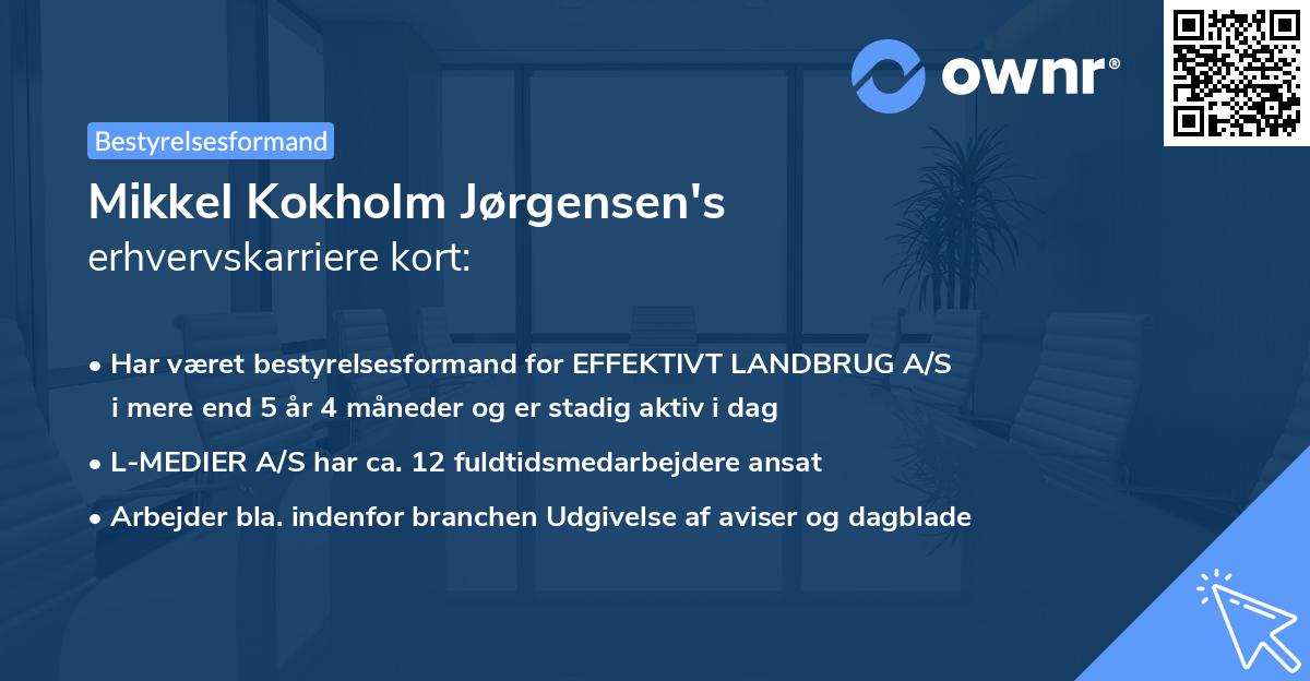 Mikkel Kokholm Jørgensen's erhvervskarriere kort