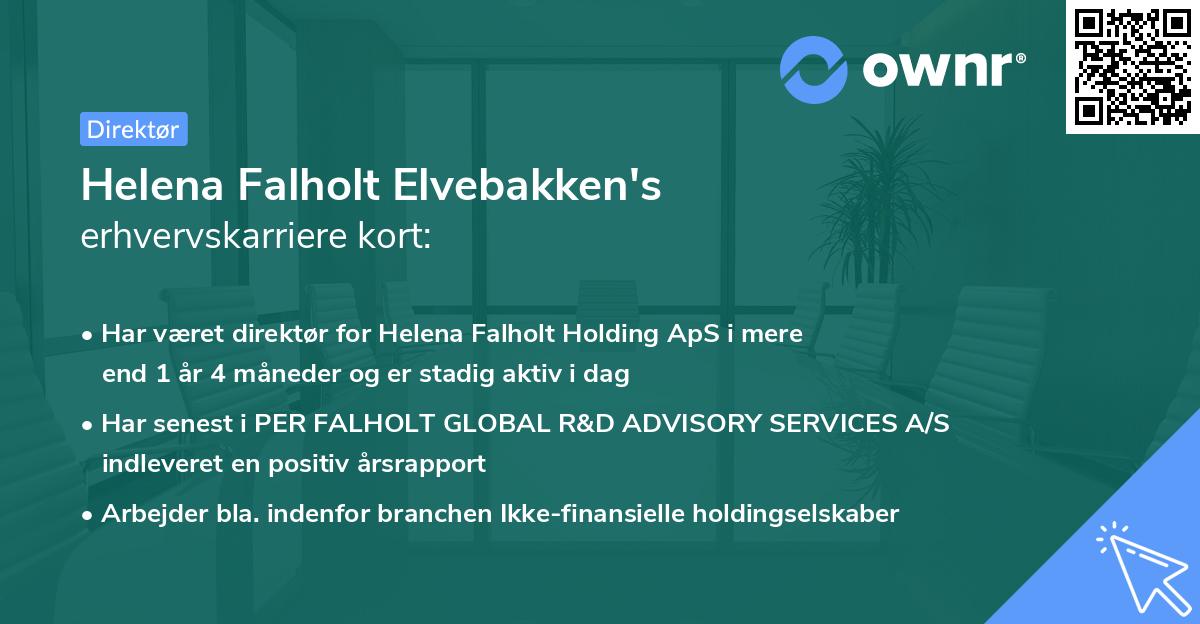 Helena Falholt Elvebakken's erhvervskarriere kort