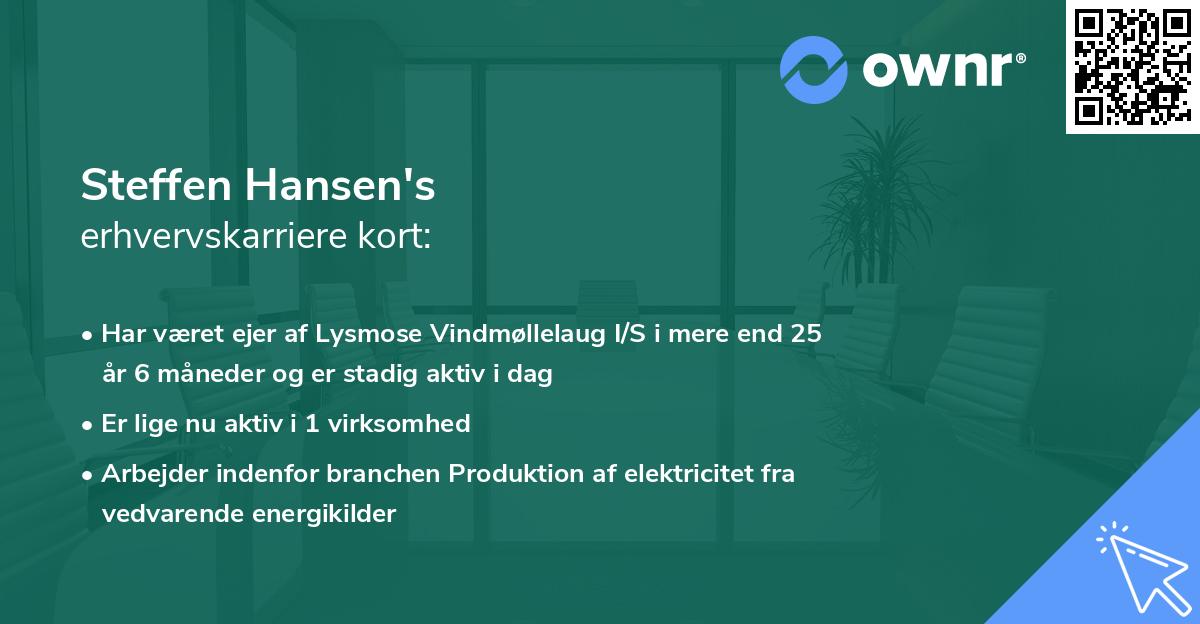 Steffen Hansen's erhvervskarriere kort