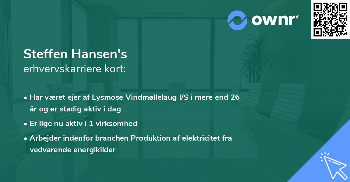 Steffen Hansen's erhvervskarriere kort